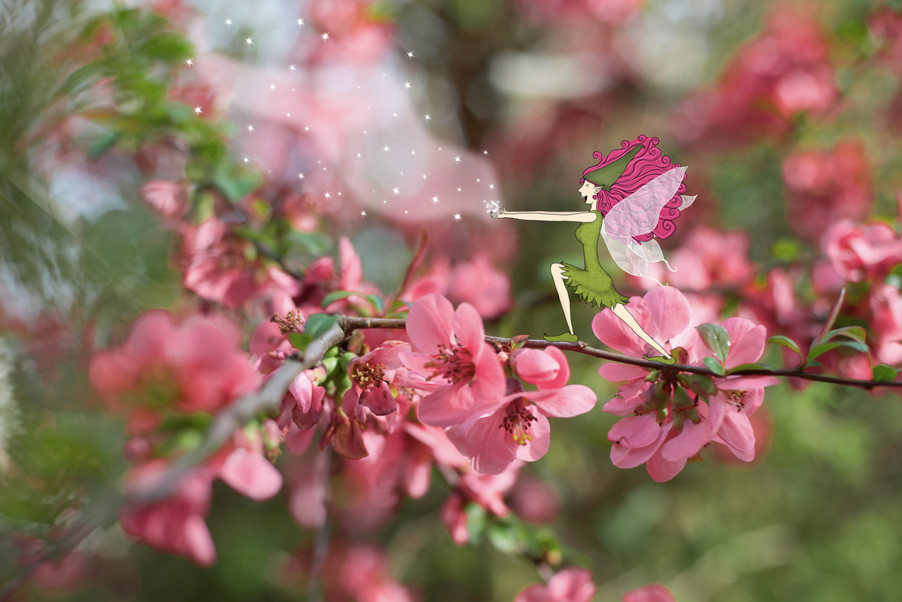 La Sylphide de Printemps